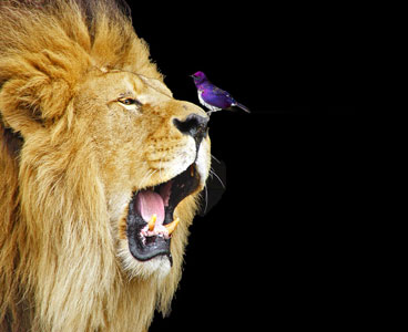 Sound Attenuation Product Benefits