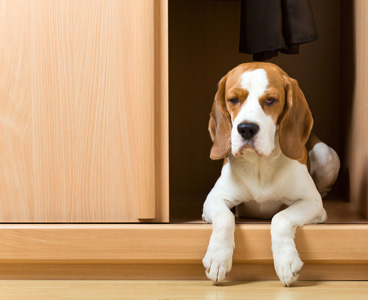 Benefits of TopCoats & Sealers